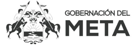 Gobernacion de meta